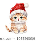 Cat with santa claus hat.  106696039