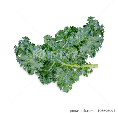 Fresh kale with water drops isolated on white background 106696091