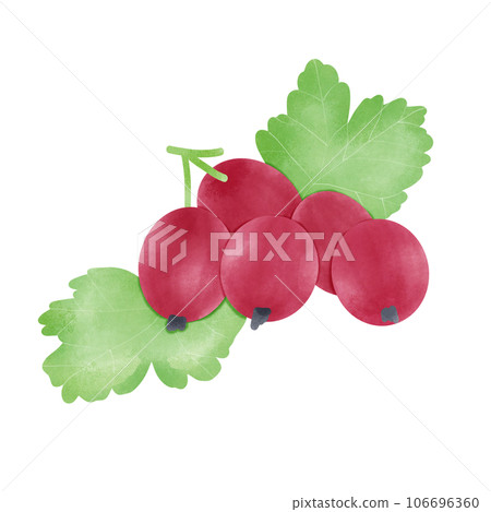 Gooseberry 106696360