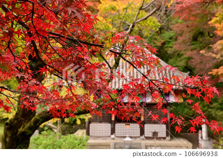 長谷寺的紅葉景色 長谷寺的紅葉景色 106696938