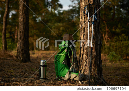 Hiker equipment, backpack, pair of walking pole sticks leaned on tree Hiker equipment, backpack, pair of walking pole sticks leaned on tree 106697104