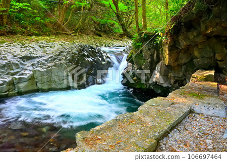 Izu Peninsula, Nakaizu, Kawazu Seven Falls, Kani Falls, where the basalt next to the waterfall looks like a crab shell, Kawazu Town, Shizuoka Prefecture (3) Izu Peninsula, Nakaizu, Kawazu Seven Falls, Kani Falls, where the basalt next to the waterfall looks like a crab shell, Kawazu Town, Shizuoka Prefecture (3) 106697464