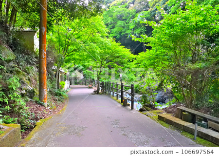 伊豆半島、中海津、河津七瀧瀑布、可兒瀑布和松慶瀑布之間、靜岡縣河津町散步道 伊豆半島、中海津、河津七瀧瀑布、可兒瀑布和松慶瀑布之間、靜岡縣河津町散步道 106697564