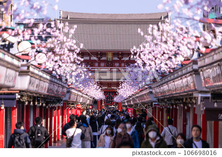 【東京】春天的淺草，清晨的淺草寺仲見世街 106698016