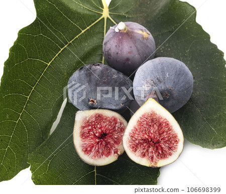 purple figs in studio purple figs in studio 106698399