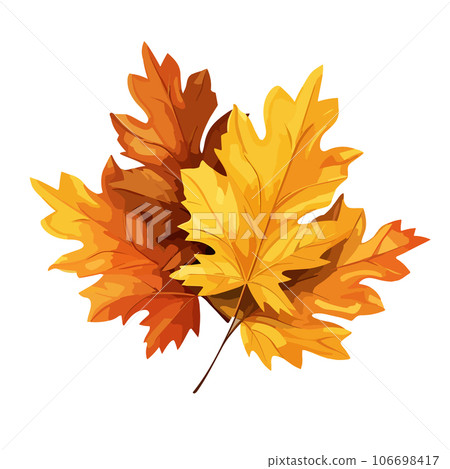 Autumn Leaves isolated on white background. Maple leaf. Vector illustration EPS10 Autumn Leaves isolated on white background. Maple leaf. Vector illustration EPS10 106698417