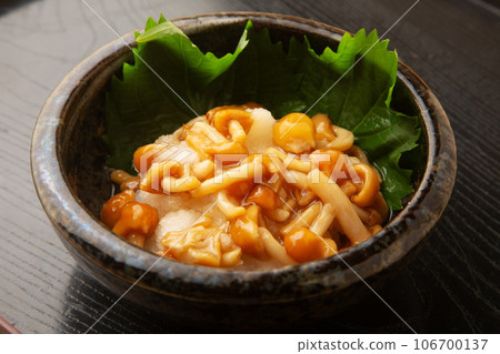 磨碎滑子蘑 106700137