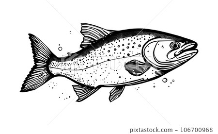 hand sketch Vector isolated on white background. Hand drawn retro icon, vintage ink engraving art. Black line drawing of red fish emblem. Salmon seafood, healthy organic food symbol 106700968