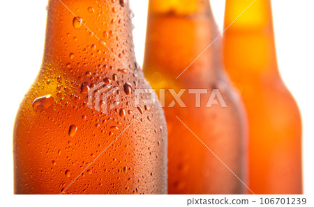 Fresh beers bottles on white background 106701239