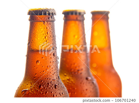 Fresh beers bottles on white background 106701240