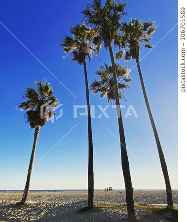 Venice Beach 106701589
