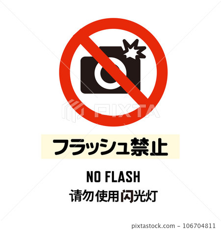 No flash pictogram with English and Chinese 106704811
