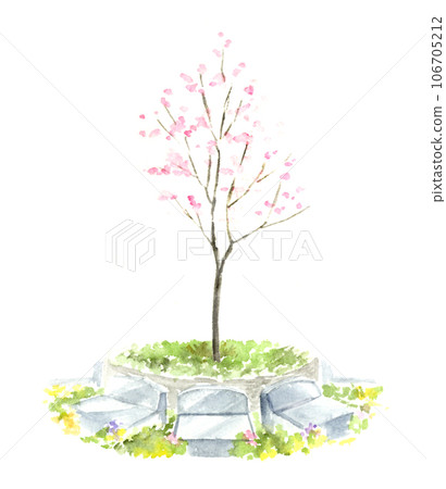 櫻花樹葬禮水彩畫 106705212