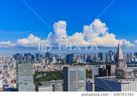 Tokyo's summer sky seen from the south observation deck of the Tokyo Metropolitan Government Building, Shinjuku Ward, Tokyo 106705385