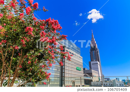 Summer sky in Shinjuku, Shinjuku Ward, Tokyo Summer sky in Shinjuku, Shinjuku Ward, Tokyo 106705409
