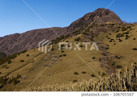 從箱根矢楹澤嶺附近看到的金時山 從箱根矢楹澤嶺附近看到的金時山 106705587