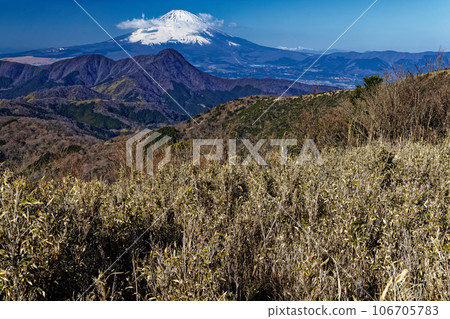 從箱根·Mingjigadake和Kintokiyama看到的富士山 從箱根·Mingjigadake和Kintokiyama看到的富士山 106705783