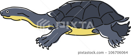 Hand drawn long-necked turtle illustration 106706064
