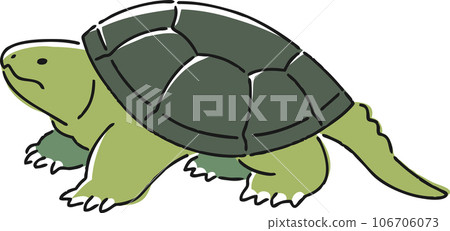Hand drawn snapping turtle illustration 106706073