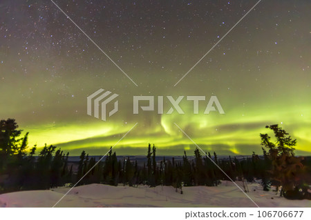 Aurora under the stars in Fairbanks Aurora under the stars in Fairbanks 106706677