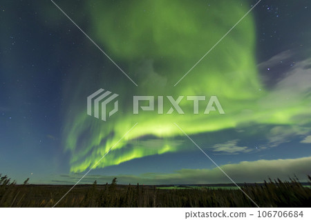 A curtain of aurora shimmering in the starry sky of Yellowknife A curtain of aurora shimmering in the starry sky of Yellowknife 106706684