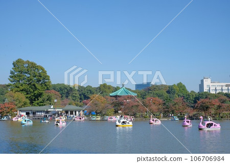 Shinobi池塘船 106706984