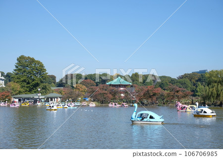 Shinobi池塘船 Shinobi池塘船 106706985