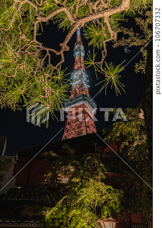 pine and tokyo tower 106707332