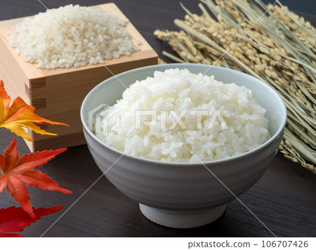 新圖片。稻米，稻穗，稻穗。 106707426