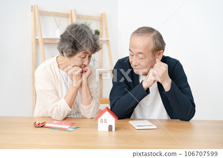 老夫婦擔心房地產房屋模型 106707599