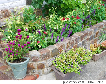 hobby gardening flower bed hobby gardening flower bed 106707944