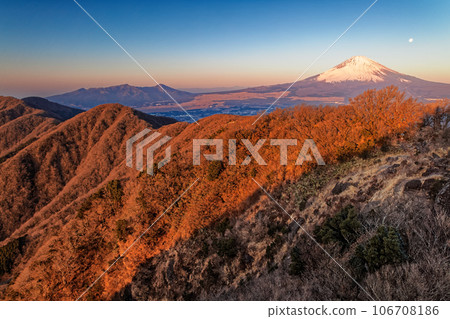 從箱根金時山看日出山脈和富士山 從箱根金時山看日出山脈和富士山 106708186