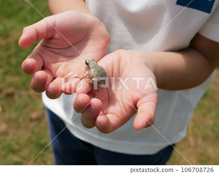 A boy happy after catching a frog A boy happy after catching a frog 106708726