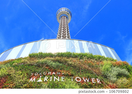 橫濱市、橫濱海洋塔風景 106709802