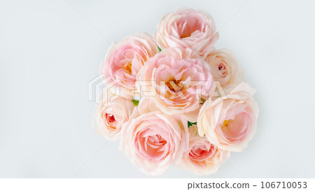 Pink bouquet, bird's-eye view, stylish, Turkish bellflower, early summer, autumn, white background, gray Pink bouquet, bird's-eye view, stylish, Turkish bellflower, early summer, autumn, white background, gray 106710053