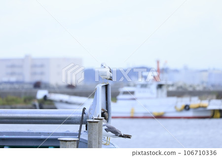 Kabushima Shrine Hachinohe Kabushima Shrine Hachinohe 106710336