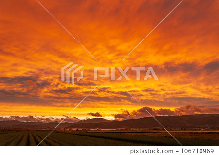 Rural scenery dyed in the setting sun 106710969