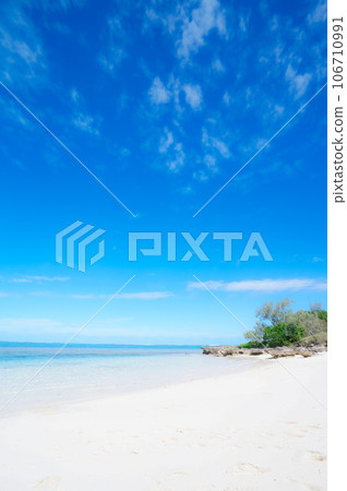 New Caledonia Beach New Caledonia Beach 106710991