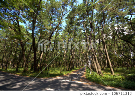 Rainbow Matsubara Karatsu City Scenery 106711313