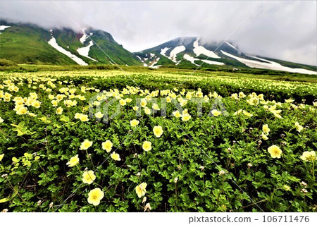 Kamui Mintara、眾神花園、大雪山、旭岳索道、北海道初夏、七月、旭岳是人間校園 Kamui Mintara、眾神花園、大雪山、旭岳索道、北海道初夏、七月、旭岳是人間校園 106711476