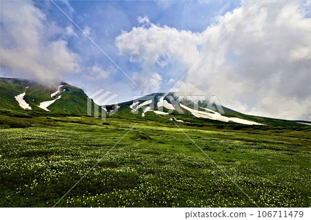 Kamui Mintara, Garden of the Gods, Daisetsuzan, Mt. Asahidake Ropeway, Hokkaido in early summer, July, Mt. Asahidake is a campus on earth 106711479