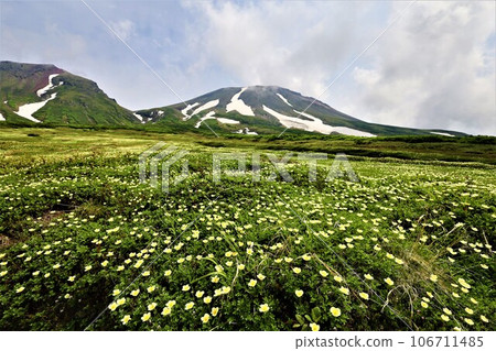 Kamui Mintara、眾神花園、大雪山、旭岳索道、北海道初夏、七月、旭岳是人間校園 106711485