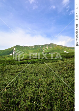 Kamui Mintara、眾神花園、大雪山、旭岳索道、北海道初夏、七月、旭岳是人間校園 Kamui Mintara、眾神花園、大雪山、旭岳索道、北海道初夏、七月、旭岳是人間校園 106711698