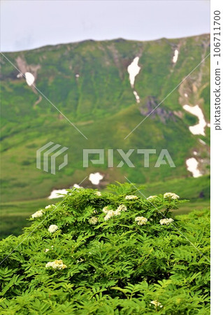 Kamui Mintara、眾神花園、大雪山、旭岳索道、北海道初夏、七月、旭岳是人間校園 106711700