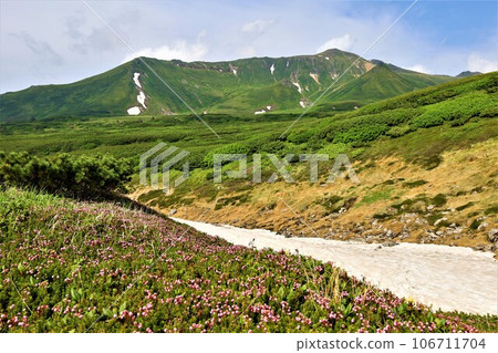 Kamui Mintara, Garden of the Gods, Daisetsuzan, Mt. Asahidake Ropeway, Hokkaido in early summer, July, Mt. Asahidake is a campus on earth 106711704
