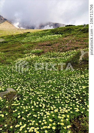 Kamui Mintara、眾神花園、大雪山、旭岳索道、北海道初夏、七月、旭岳是人間校園 Kamui Mintara、眾神花園、大雪山、旭岳索道、北海道初夏、七月、旭岳是人間校園 106711706