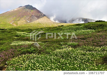 Kamui Mintara, Garden of the Gods, Daisetsuzan, Mt. Asahidake Ropeway, Hokkaido in early summer, July, Mt. Asahidake is a campus on earth 106711707