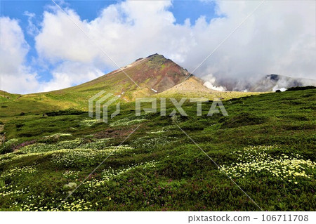 Kamui Mintara, Garden of the Gods, Daisetsuzan, Mt. Asahidake Ropeway, Hokkaido in early summer, July, Mt. Asahidake is a campus on earth 106711708