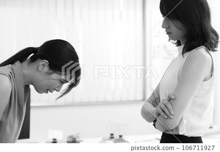 An image of a senior female employee giving strong guidance to a junior female employee An image of a senior female employee giving strong guidance to a junior female employee 106711927