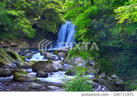 Izu Peninsula, Nakaizu, Kawazu Nanataki Falls, the highlight of Nanataki Falls, which is always crowded with tourists, Shokei Falls, Kawazu Town, Shizuoka Prefecture (1) 106711955